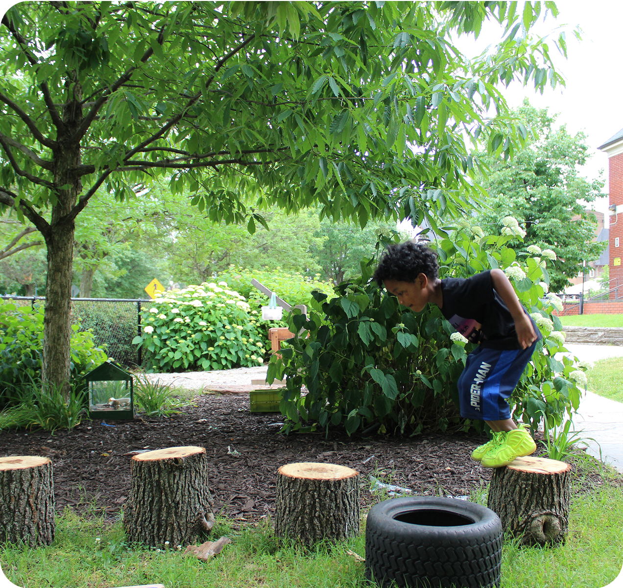 about-2 A young boy in bright shoes is mid-jump from a log stump, outdoors in a green park area with trees and bushes surrounding him.